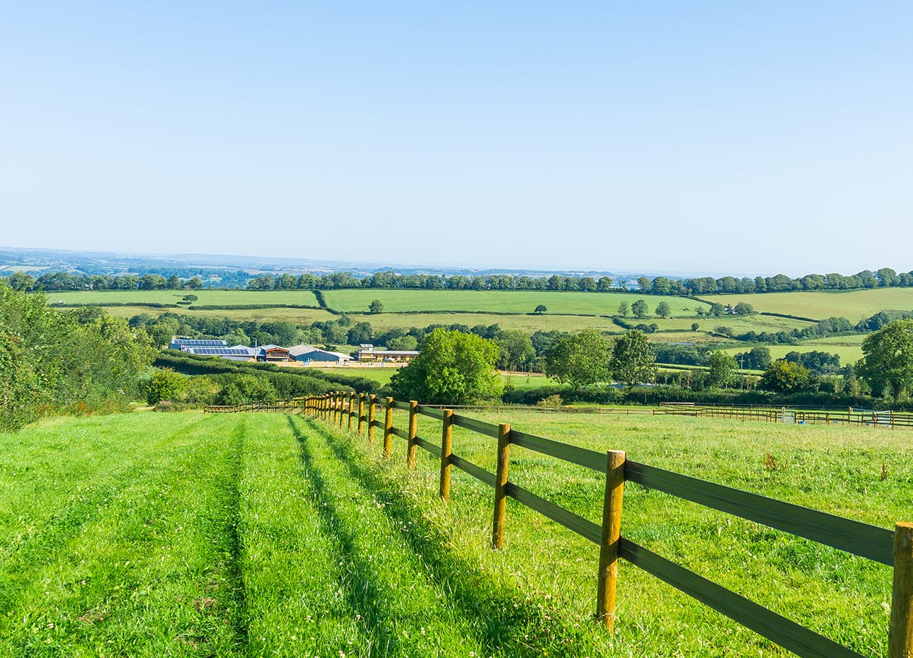 A view to Lower Chapel Marsh Farm