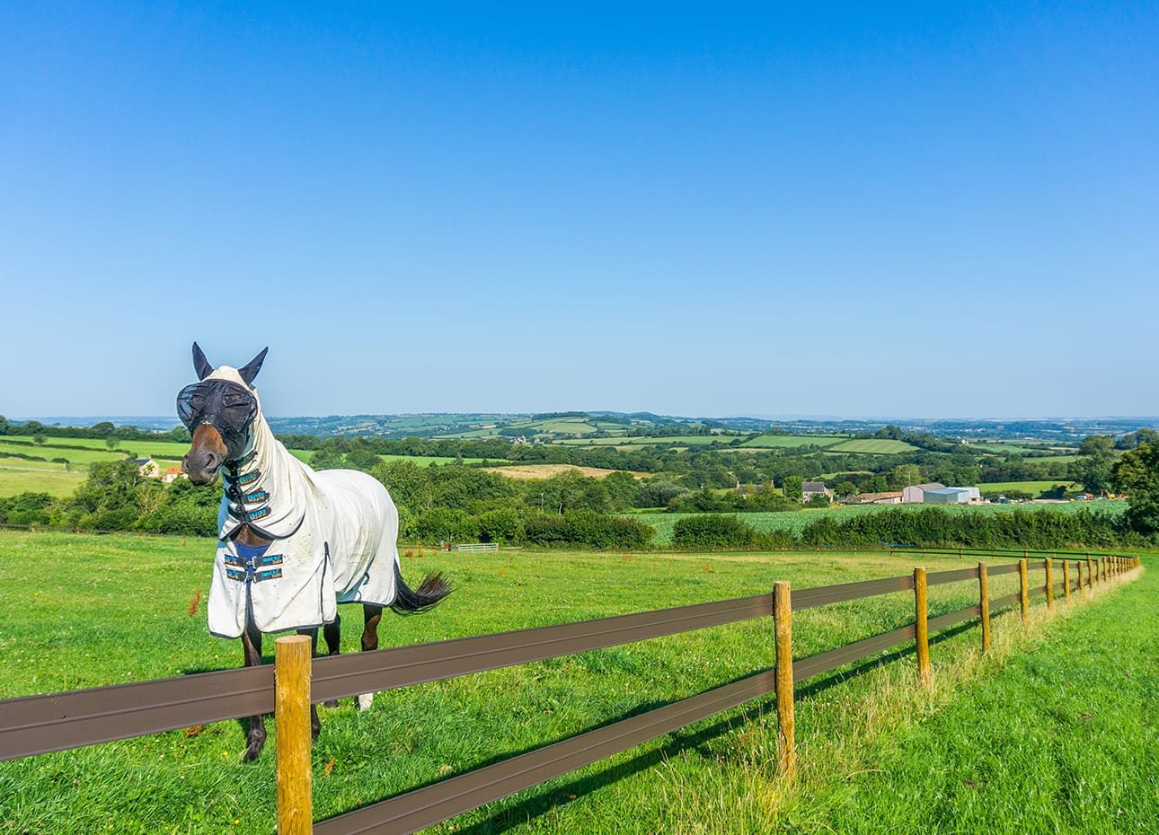 Acres of high quality land