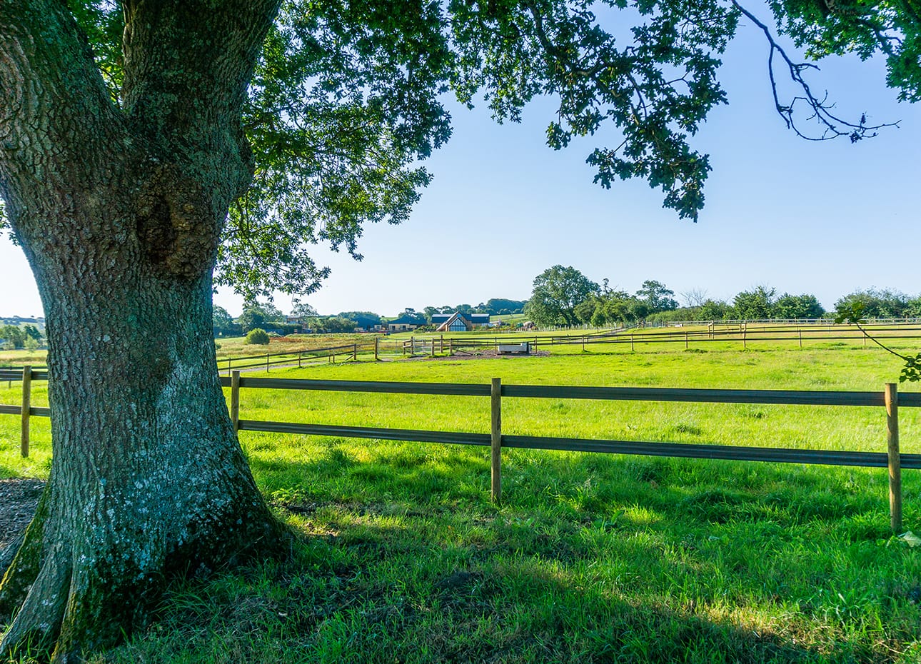 Fields within the Estate