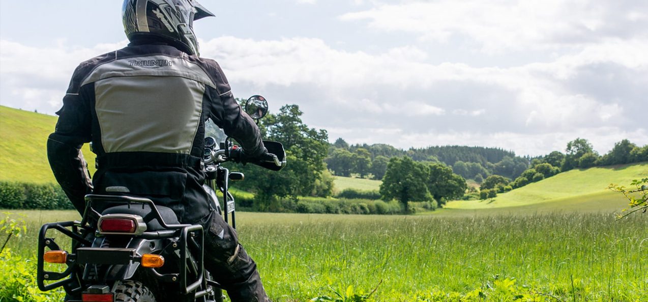 Rider looking out across Dorset countryside