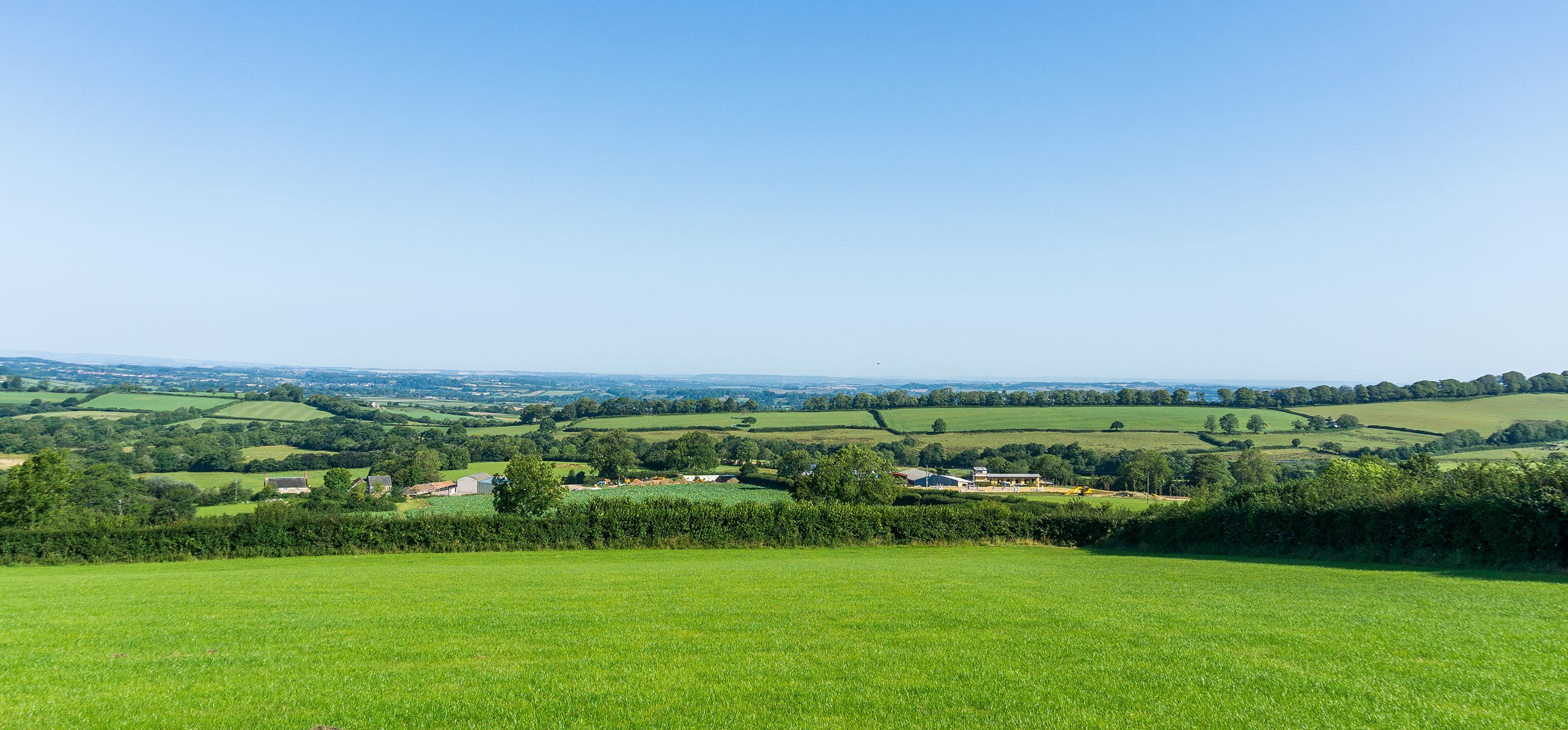 A view across to Lower Chapel Marsh Farm on the Chedington Estate