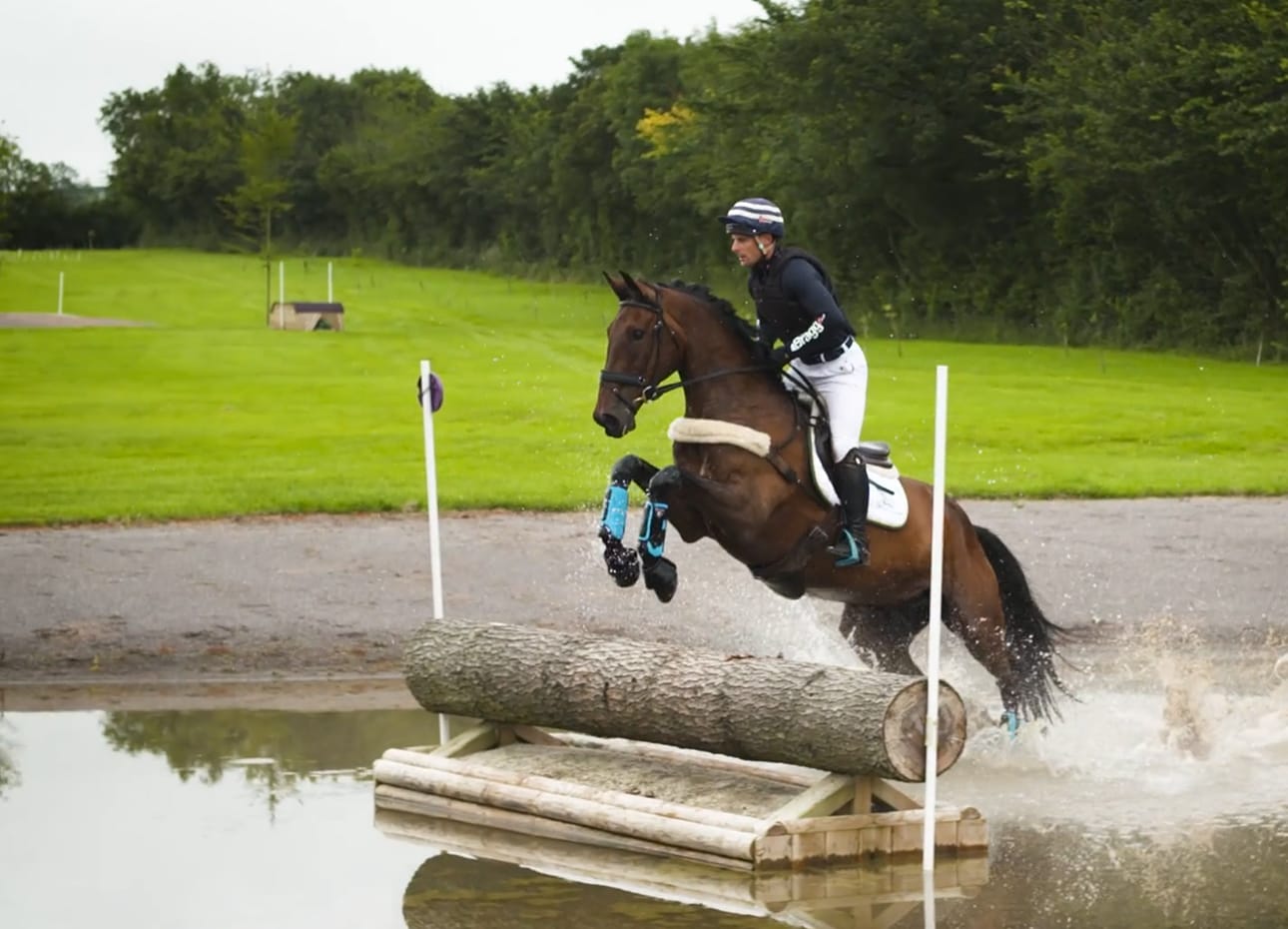 A horse and rider on the Chedington Equestrian cross country course