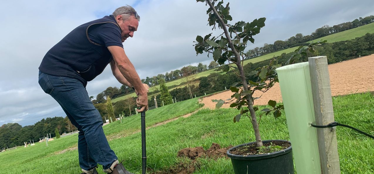 Tree planting on the Estate