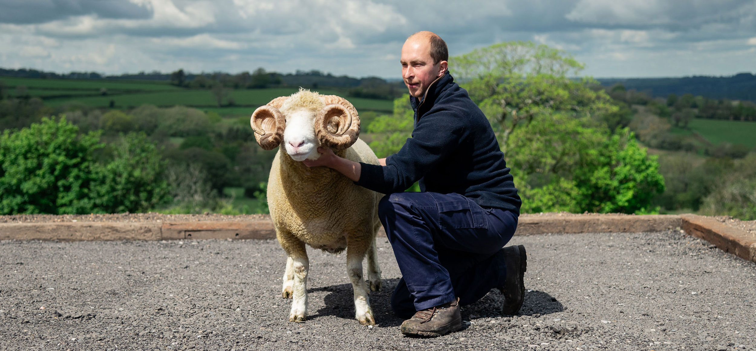 Shepherd Marcus with one of the rams