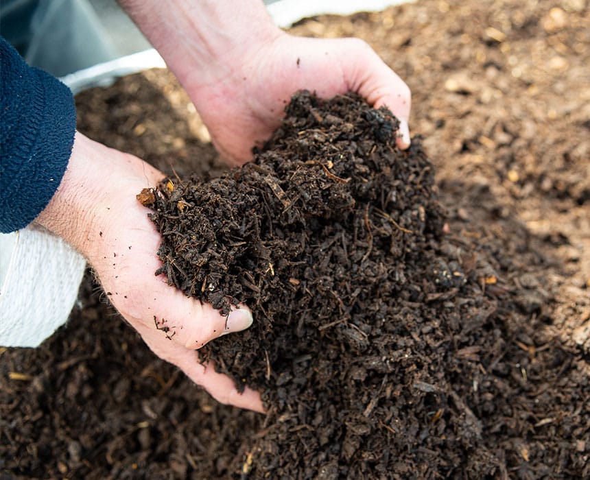 High quality Estate compost