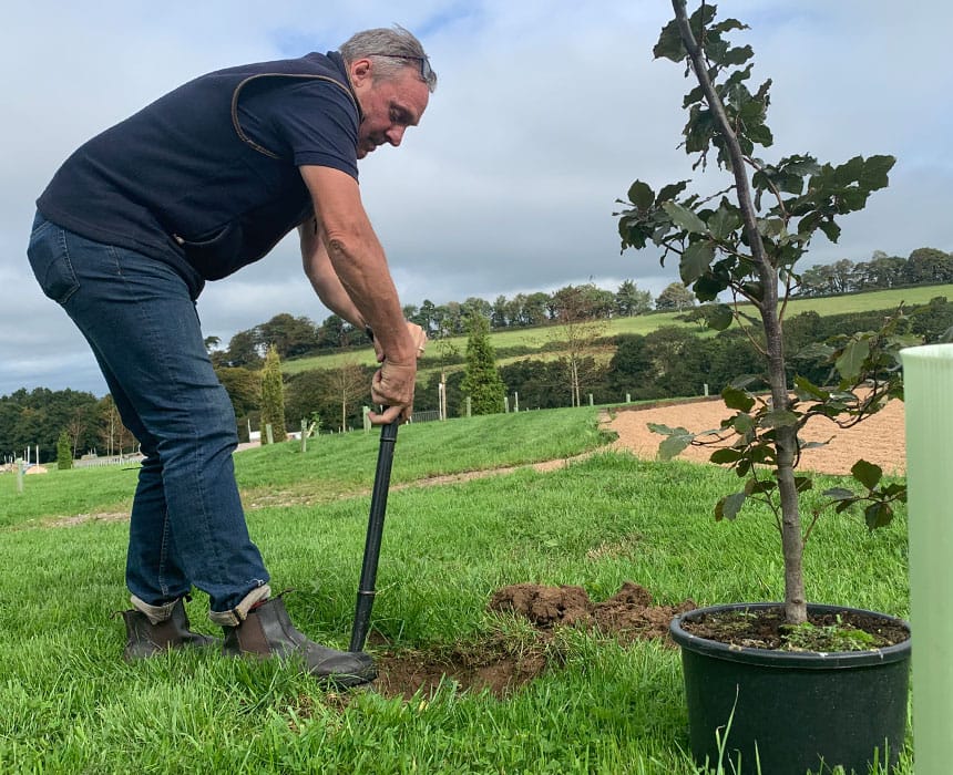 Tree planting across 350 acres