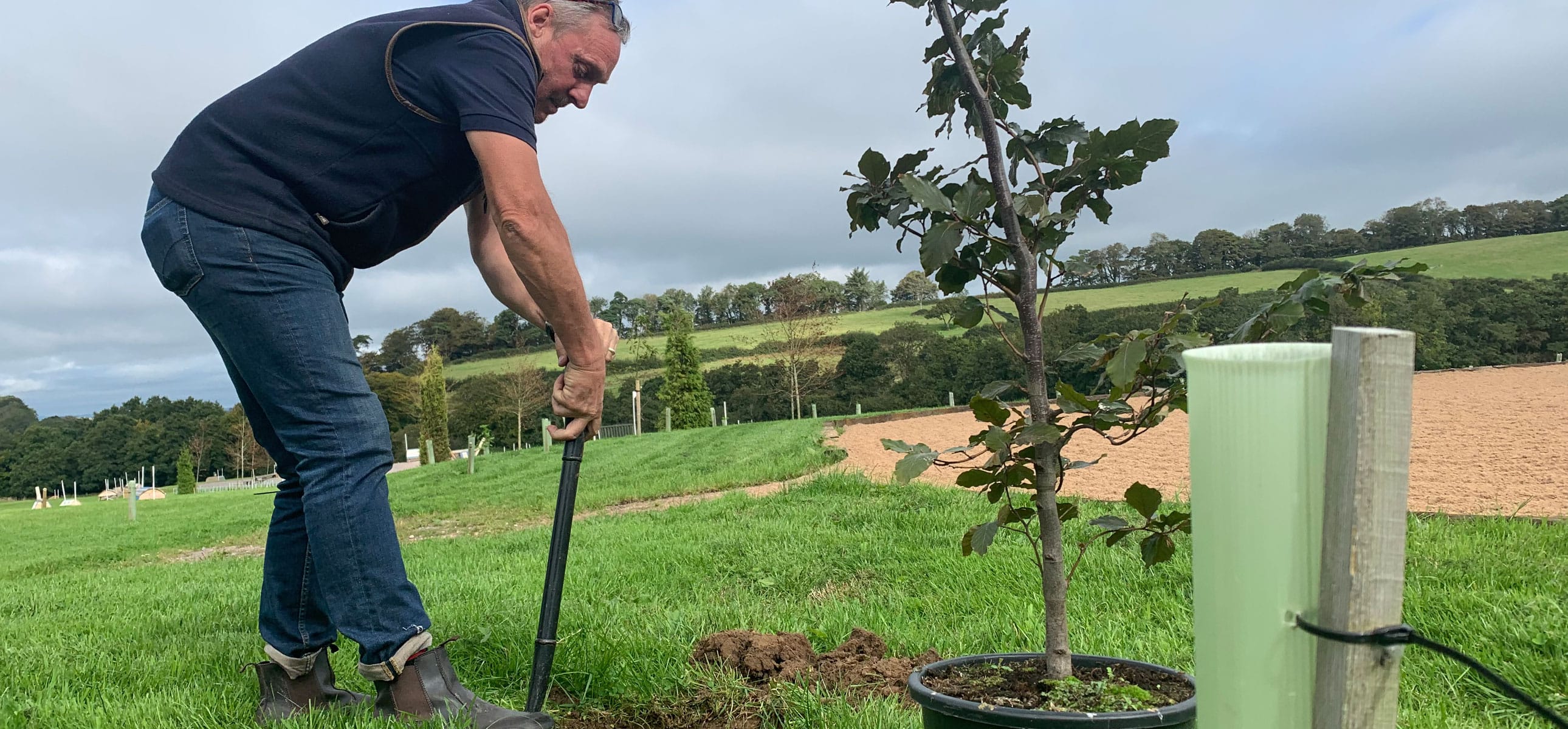 TRee planting on The Chedington Estate