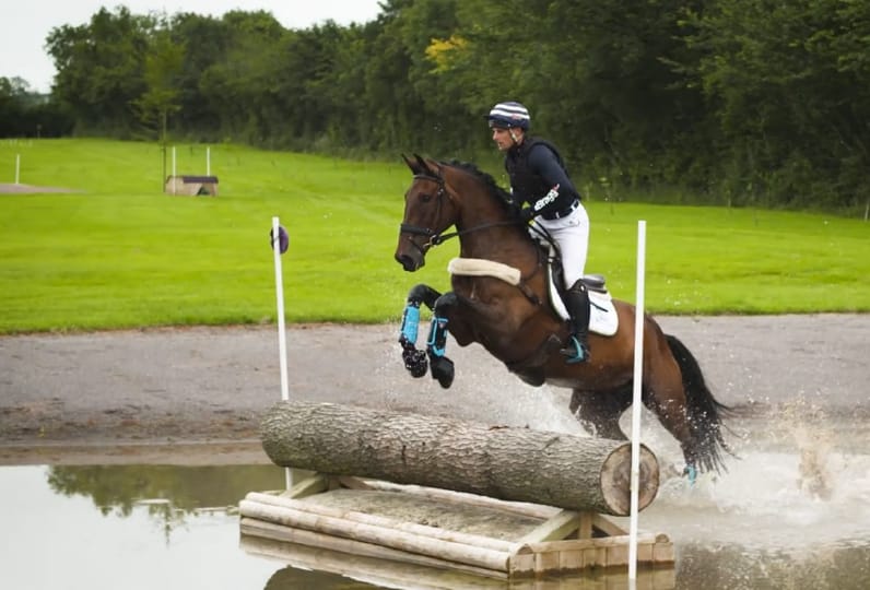 Team Accommodation with Chedington Equestrian