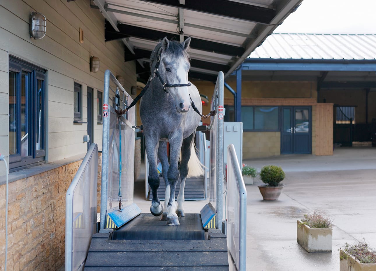 The Dry Treadmill at Chedington Equestrian