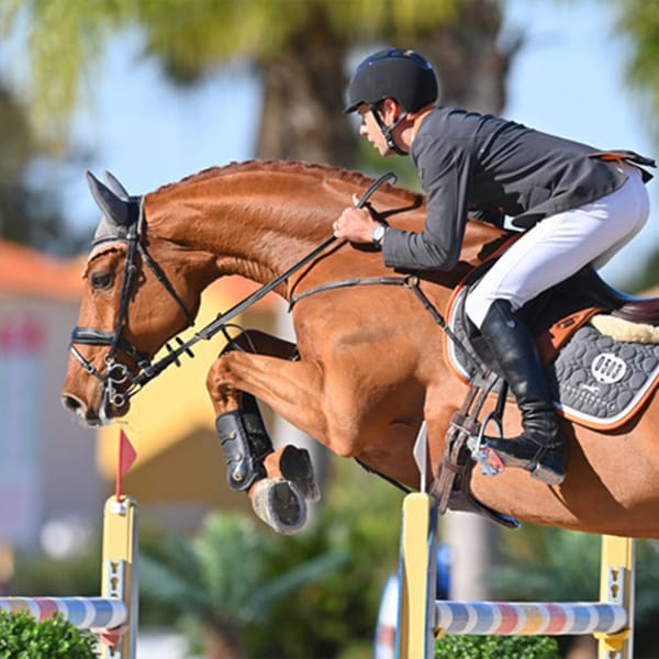 Chris Burton at Chedington Equestrian