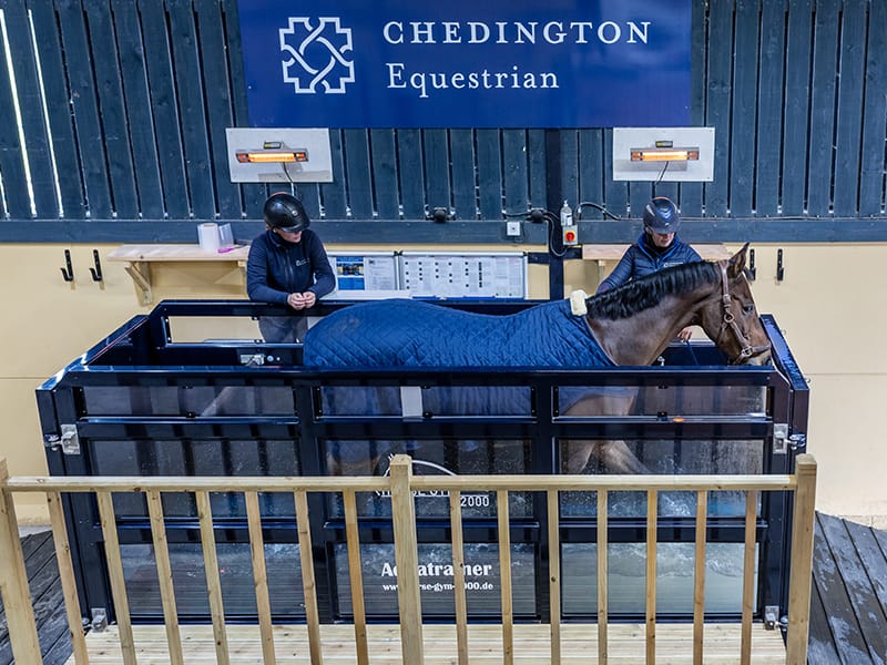 Aqua Treadmill equipment at Chedington Equestrian