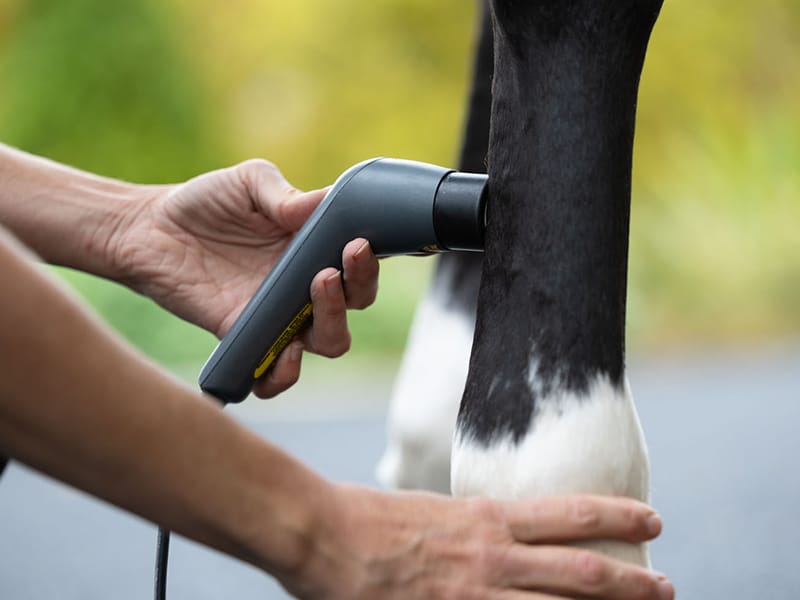 The latest equine technology on-site